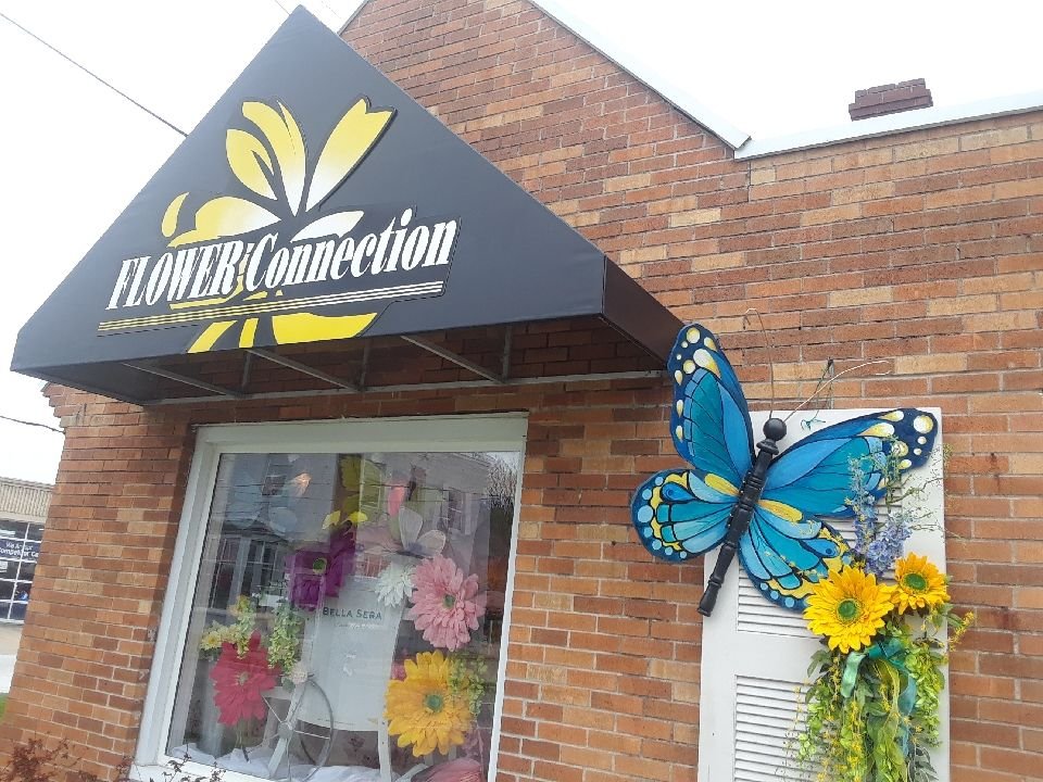 Storefront with a big blue butterfly